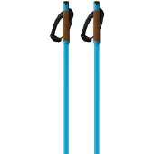 Fischer Storm Gtx M Poles Clair 170 cm