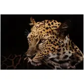 J-Line Wall deco Leopard Verre trempé Mix