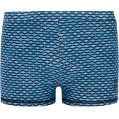 Protest Adri Swimming Boxer Bleu 164 cm Garçon