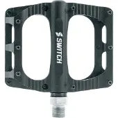Nintendo Switch Freeride Pedals Argenté