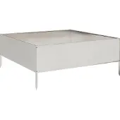 vidaXL Jardinière surélevée 100 x 100 x 41 cm en acier inoxydable