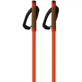 Fischer Storm Gtx L Poles Orange 170 cm