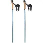 Rossignol Ft-600 Cork Poles Argenté 155 cm Homme