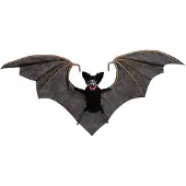MOM Chauve-souris Volante Avec Lumière Et Son 45x96x9 Cm