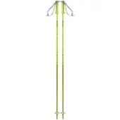Salomon Bâtons Polar