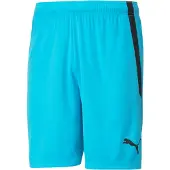 Puma Hommes, Bas de sport, Short teamLIGA-704924 (52, L), Bleu