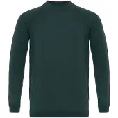 Dandalo Pull-over émeraude