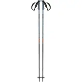 Salomon Bâtons Polar Pro
