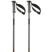 Salomon Bâtons Polar Pro S3
