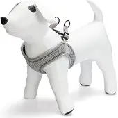 Beeztees Harnais Pour Chien Premium Parinca Stepin