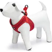Beeztees Harnais Pour Chien Premium Parinca Stepin