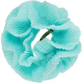 Pico The Classic Scrunchie Pastel Mint