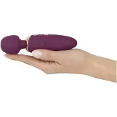 You2Toys Petite - masseur vibrant rechargeable (rouge)