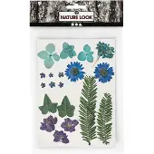 Creativ Company Fleurs et feuilles séchées Bleu