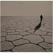 Bertus Distributie Salero (Original Motion Picture Soundtrack)