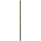 BEAL Spelenium Unicore 8.5 Mm Rope Blanc 200 m