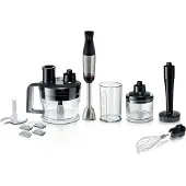 Bosch Mixeur Plongeur Ergomaster Serie 6 (msm6m673)