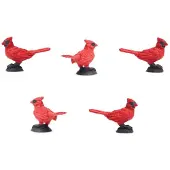 Safari Ltd Educational Cardinal Figure 192 Pieces Rouge Enfants