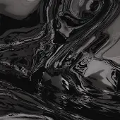 Ginza.se Bergsonist - Mutation [Vinyl]