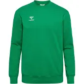 Hummel Sweat de sport 'GO 2.0' vert gazon / blanc