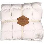 Filibabba Couette - Junior - 100x140 cm - Kapok - - UneTaille - Couette