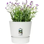 Elho Pot De Fleurs - - Greenville - Blanc - 20 Cm - Plastique