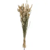 J-Line Botte de queues de lievre herbes sechees naturel