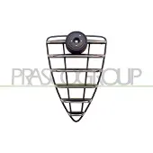 PRASCO AA2102001 Radiator grill