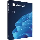 Microsoft Windows 11 Professionnel 64 bits NL