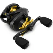 Delphin Zandera Multiplicateur