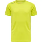 Newline T-Shirt fonctionnel gris / roseau