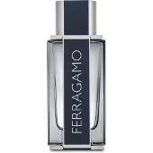 Big Buy Cooking Parfum pour homme Ferragamo Salvatore Ferragamo EDT (100 ml) (100 ml)
