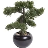 Botanic-Haus Bonsaï de cèdre artificiel Vert 34 cm 420003
