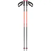 Salomon Bâtons Polar Pro S3