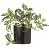 J-Line Tradescantia en pot artificiel vert/blanc