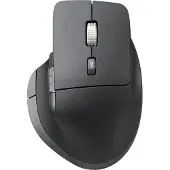 ISY Souris Sans Fil Dual Mode Pro Noir (iwm-5000)