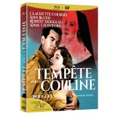Elysees Edit Com Cnt Tempête sur la colline Blu-ray + DVD