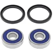 All Balls Racing 25-1147 Front Wheel Bearing Kit Argenté