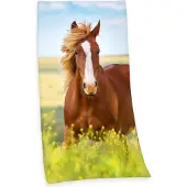 MCU Pferd (150 x 75 cm)