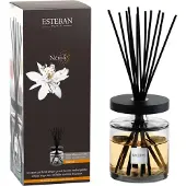 Esteban Bouquet parfumé Ellipse Neroli 500ml