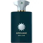 Amouage Enclave Eau De Parfum 100 ml (unisex)