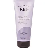 Ref Colour Boost Masque 200 ml Cool Silver Ash