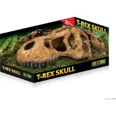 Exo Terra Cachette De Fossile De Crâne De T-rex