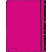 Pagna Trieur Trend , pour format A4, carton, 12 compartiments, rose foncé