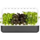 Click & Grow Smart Garden 9 - Gris foncé