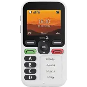 Doro Téléphone basique Leva X10 4G Nano SIM 128 Mo 2.4" Blanc et Noir