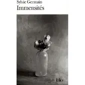Gallimard Immensités