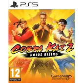 Cobra Kai 2 : L'ascension des dojos (PS5)