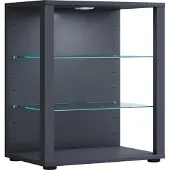 VCM Bois verre vitrine de collection vitrine de verre vitrine stand vitrine Glasol L Bois verre vitrine de collection vitrine de verre vitrine stand vitrine Glasol L