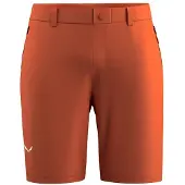 Salewa Puez Talveno Durastretch Shorts Marron S Homme